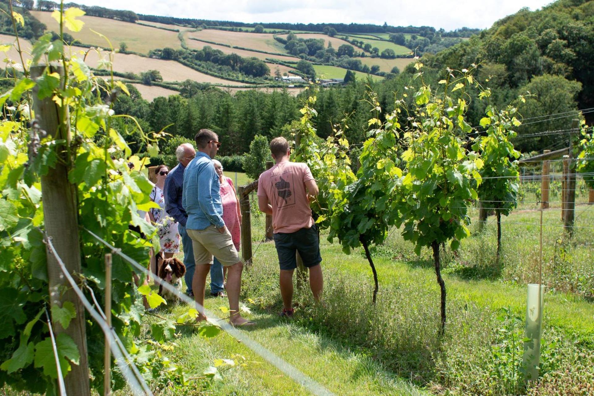 Broadwoodwidger Couples Retreat In Beautiful West Devon Countrysideヴィラ エクステリア 写真
