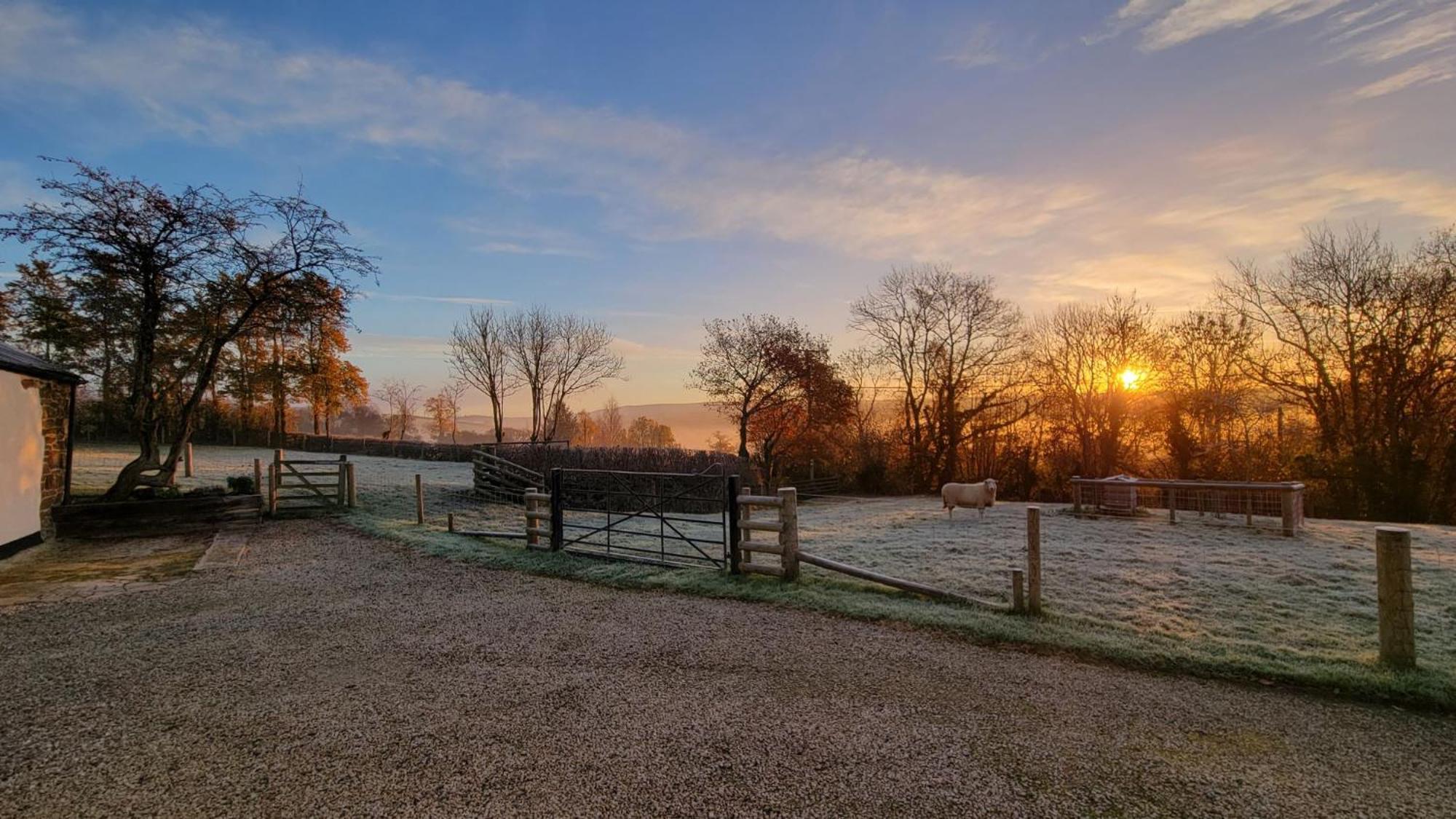Broadwoodwidger Couples Retreat In Beautiful West Devon Countrysideヴィラ エクステリア 写真