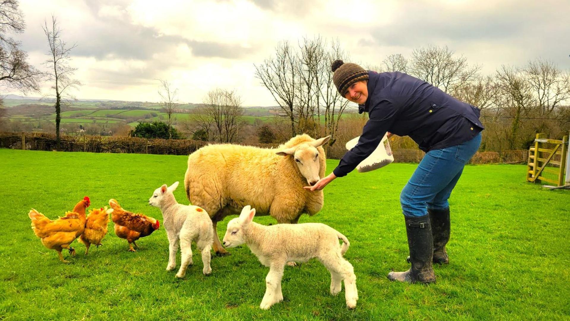 Broadwoodwidger Couples Retreat In Beautiful West Devon Countrysideヴィラ エクステリア 写真
